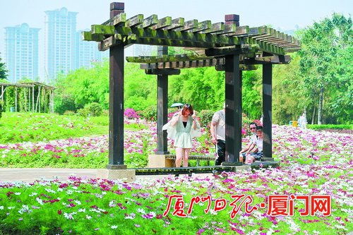 厦门园博苑已免费向社会开放 花香展演庆 五一