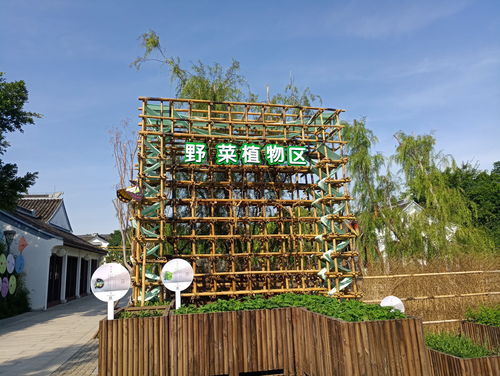 6月25日至7月25日,厦门版 百草园 ,园博苑中草药植物展将结束