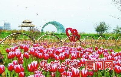 春节到园博苑看表演吃特色美食 植物园展出书画精品 - 城事 - 东南网厦门频道