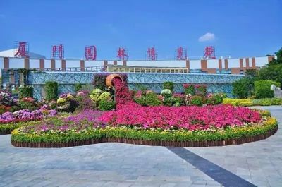 喜迎国庆,厦门太美了!长假赏花海逛公园,收好这份攻略!
