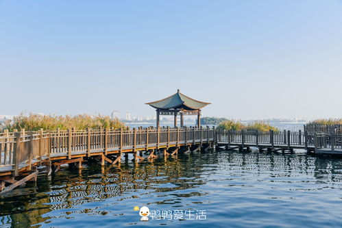 立省60元,厦门园博苑免费开放啦,趁春光正好去踏青吧