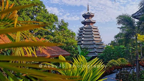 不花钱又想欣赏各地风景,可能吗 这个五一厦门园博苑帮你实现