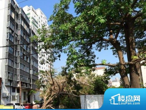厦门利海苑小区实景图 厦门楼盘网