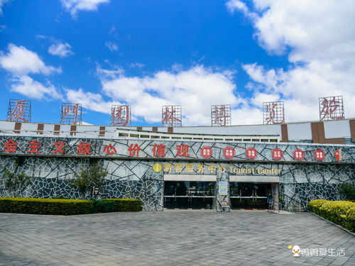 只有10天 错过又要等一年,厦门园博苑春节郁金香花展美不胜收