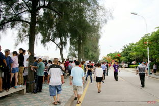 厦门印象 集美 厦门游记攻略