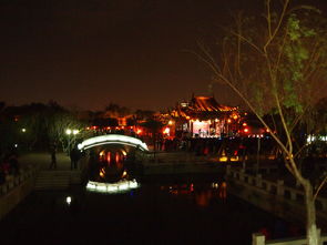 2013元宵厦门园博苑逛花灯