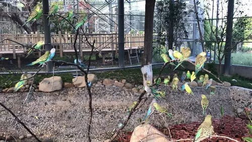 遛娃新去处 厦门园博苑生态馆全新亮相 萌力加倍,趣味十足