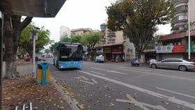 厦门公交908路：从前场社区站到园博苑公交场站的便捷之旅