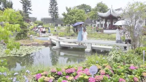 半小时省了30万元门票钱 免费首日厦门园博苑到底有多火