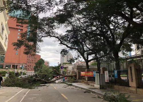 厦门部分景区及轮渡航线临时关闭紧急通知