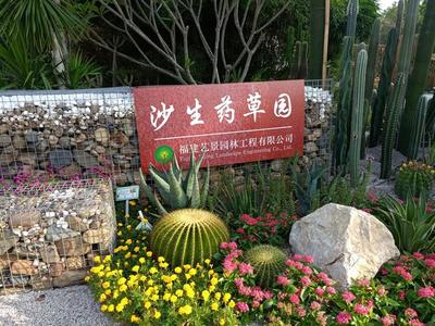 7月25日,为期一个月的厦门园博苑中草药植物科普展即将落下帷幕
