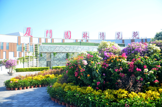 国庆假期不去人挤人，厦门园博苑的无边花海和稻草人王国，大人孩子都开心