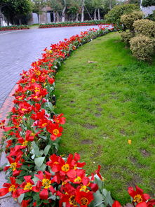 阴雨厦门园博苑 观灯展的另一番诗意