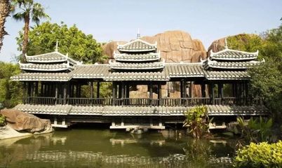 春游厦门园博苑 水系、灯光与花海的梦幻交响