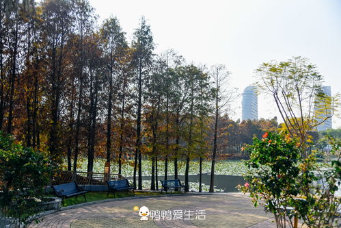 春日福利，免费畅游厦门园博苑，踏青正当时