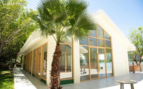 厦门园博苑儿童公园正式运营，为亲子游再添新亮点